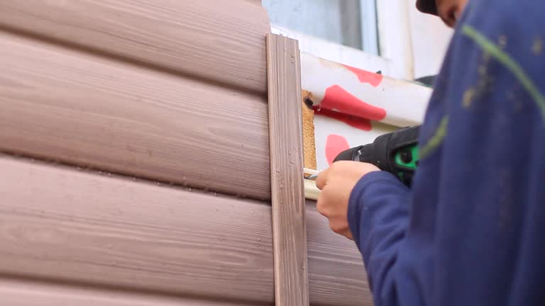 Best Storm Damage Siding Repair  in Ovid, MI